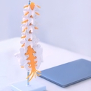 Proactive Chiropractic Group - Chiropractors & Chiropractic Services