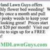 Maryland Lawn Guys- We Mow Lawns!! gallery