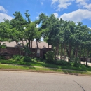 Slawson's Tree Service - Tree Service