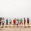 Endless Sun Surf School - Tourist Information & Attractions