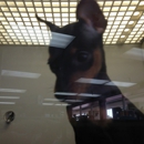 Petland Pembroke Pines - General Merchandise
