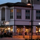 Epic Gelato - Ice Cream & Frozen Desserts