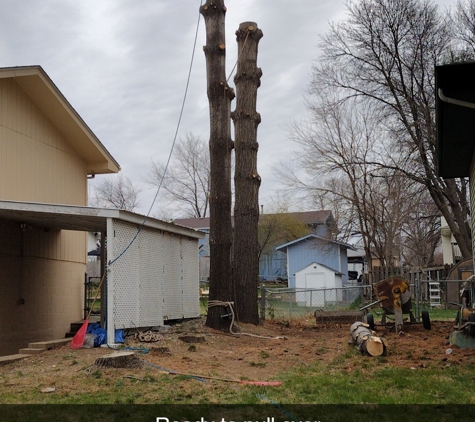 West Omaha Tree Service. Tree removal Omaha - removing large white pine trees next to customers house safely and professionally - West Omaha Tree Service - copyright 2023