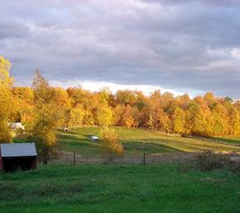 Bryn Meadow Farm - Charlotte, VT