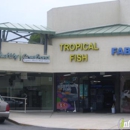 Encinitas Tropical Fish - Tropical Fish