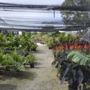 Nu Turf Garden Shop - Garden Centers