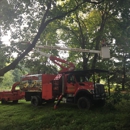 Hagan & Sons Tree Service - Firewood