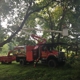 Hagan & Sons Tree Service