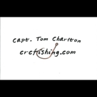 Charlton's Reef Charters