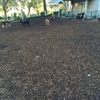 William S Hart Park & Off Leash Dog Park gallery