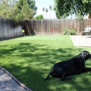 Coastal Syn-Turf - Artificial Grass