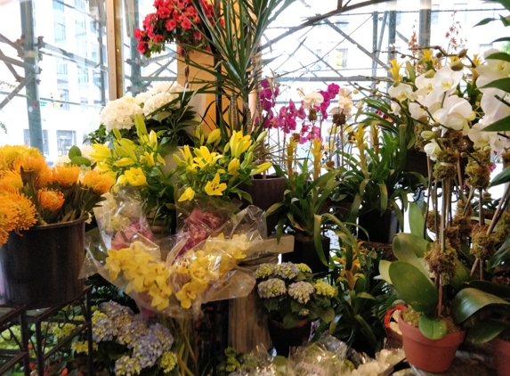 Jerome Florist - New York, NY