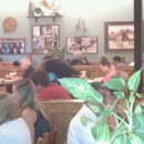 Bertucci's - Italian Restaurants