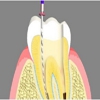 New Image Dental, LLC