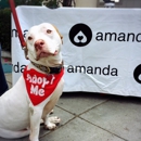 Amanda Foundation - Animal Shelters