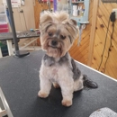 Pet Place Grooming Inc. - Pet Grooming