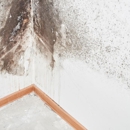 Green Home Solutions Franchise Service Center - Water Damage Restoration