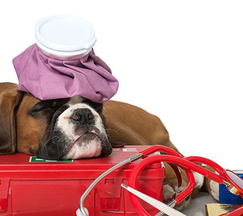 University Avenue Vet Hospital - Durack, NT