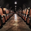 Ladera Vineyards gallery