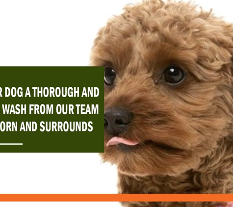 Foxy's Mobile Dog Washing & Grooming Service - Hawthorn, VIC. Give your dog a thorough and relaxing wash from our team in Hawthorn and surrounds.