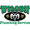 Wilson Plumbing Service gallery