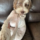 Laura Lee's Dog Grooming