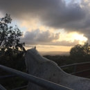 Poway Equestrian Center - Stables