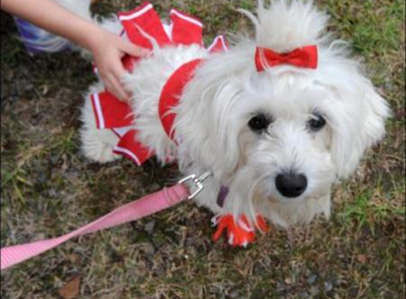 Orchard Hills Veterinary Hospital