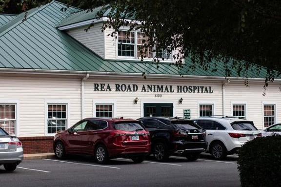 Rea Rd Animal Hospital - Charlotte, NC