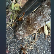 Gallery Image Number 1