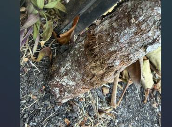 Westy Kid Gardening - Albanvale, VIC