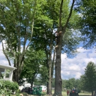 Sunbury Tree Care