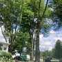 Sunbury Tree Care