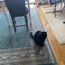Pet Care Services - Hostels