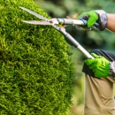 Apex Outdoors Group - Tree Service