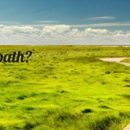 D.S.I. Business & Life Coaching - Business Coaches & Consultants