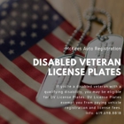 Mckees Auto Registration
