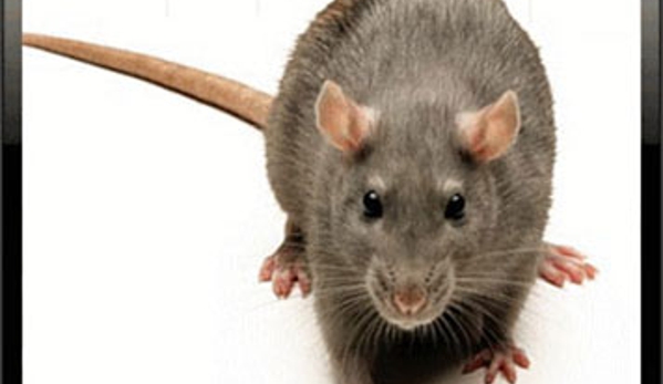Sharp Pest Control - Cooma, NSW