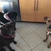 Bayshore Animal Hospital gallery