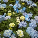 Russell's Tree and Shrub Farm - Nurseries-Plants & Trees