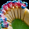 Elite Dental Studio gallery