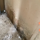 SERVPRO of Weston/West Davie - Water Damage Restoration