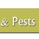 Cordray Pest Control - Pest Control Services