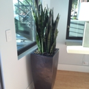 Sun West Tropicals Inc - Plants-Interior Design & Maintenance