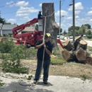 ABT Tree Care - Tree Service