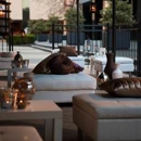 Renaissance - Hotels