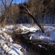 Beaver Creek Reserve