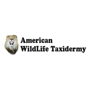 American Wildlife Taxidermy