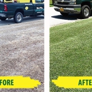 Weed Man Savannah - Lawn Maintenance