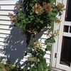 The Flower Box gallery